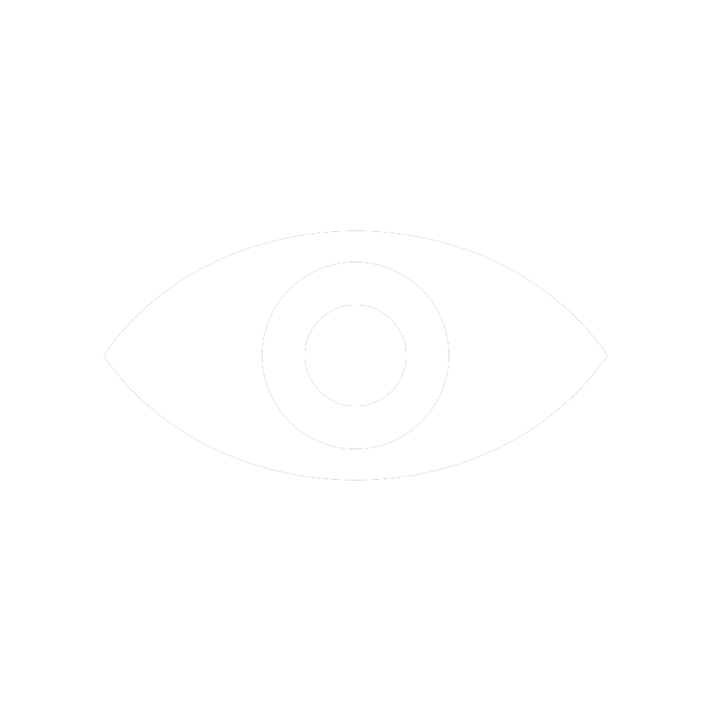 Vision Icon